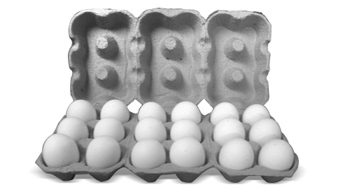 Cartela de ovos - eggs